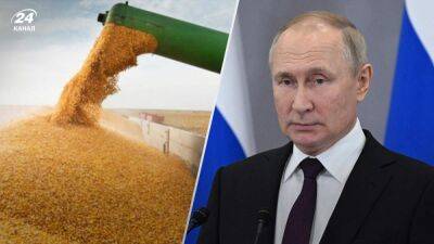 Россия готова отдавать зерно за "спасибо", – Путин сделал циничное заявление о зерновом соглашении