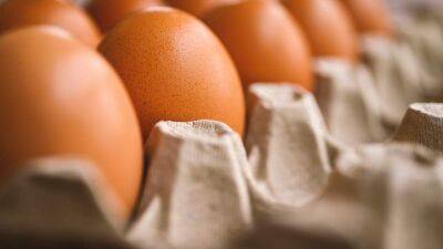 Яйца больше не будут дорожать: о чем договорились производители и Минагро