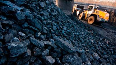 Україна не зможе пройти зиму без імпорту вугілля чи електроенергії – ДТЕК
