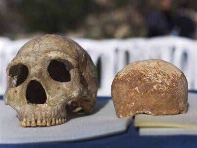 Неандертальцы могли вымереть из-за скрещивания с современными людьми – ученые