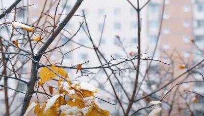 Термометры покажут до +20 градусов: синоптик Диденко ошарашила "летним" прогнозом на 21 ноября