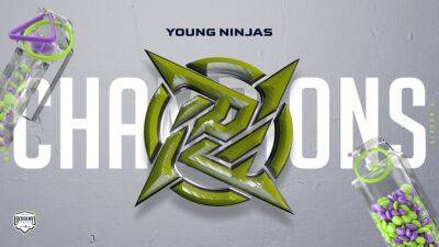 Young Ninjas выиграли шестой сезон WePlay Academy League - sportarena.com