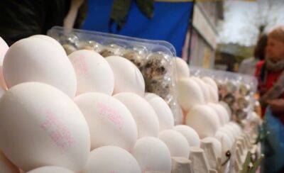О нынешних ценах будем мечтать: в следующем году яйца могут резко подорожать – названы причины