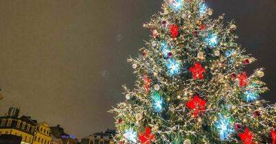 Мэр Риги выберет рождественские елки для столицы