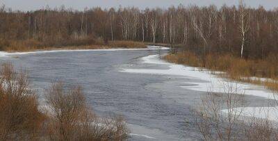 Белгидромет: на некоторых участках рек Беларуси появились ледяные образования