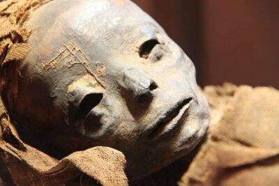 Археологи виявили татуювання на давньоєгипетських муміях(Фото)