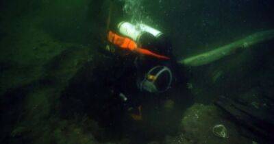 Из Гданьска в Брюгге. Какой груз нашли археологи на 600-летнем затонувшем корабле