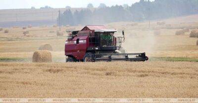 Lukashenko speaks about results to aim for in agriculture