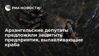 Архангельские депутаты хотят защитить рыбопромысловые предприятия, вылавливающие краба