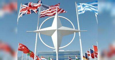 Підтримали всі 30 країн: Парламентська асамблея НАТО визнала росію державою-терористом