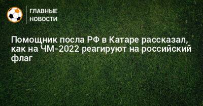 Помощник посла РФ в Катаре рассказал, как на ЧМ-2022 реагируют на российский флаг