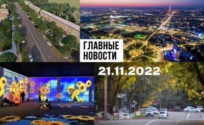 Хорошая парковка, быть Ван Гогом и ненужная культура. Новости Узбекистана: главное на 21 ноября