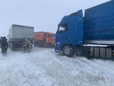 На трассах из Киева в Чоп и Ягодин в временно запретили движение грузовиков