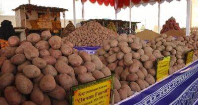 В Таджикистане состоится фестиваль выставки-продажи картофеля и приготовления блюд из него