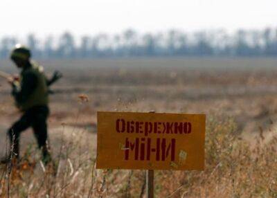 В ГСЧС сообщили, какая площадь территорий в Украине сейчас минно опасна