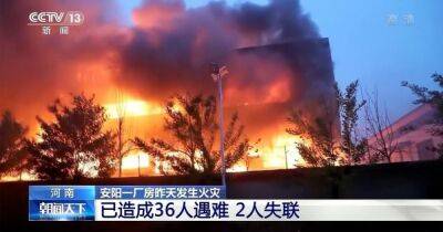 Пожар на заводе в Китае: 36 человек погибли, работают около 200 спасателей (ВИДЕО)