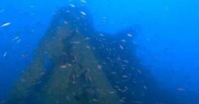 Считалась утраченной навсегда. Найдены обломки редкой подводной лодки Королевского флота (фото)