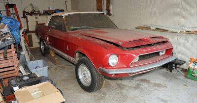 Редкий коллекционный Ford Mustang 40 лет простоял заброшенным в гараже (видео)
