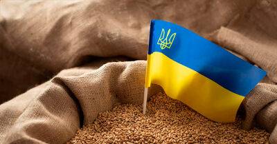 Україна знизила експорт зерна на 31,7% до 16,2 млн тонн з початку 2022/2023