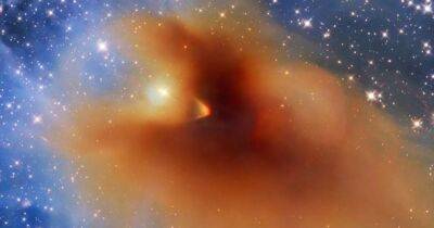 Удивительное зрелище. Телескоп Хаббл увидел самый первый этап рождения новой звезды (фото)