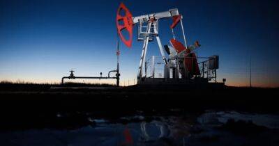 В ожидании лучшей цены: Китай приостановил покупку российской нефти, – Bloomberg