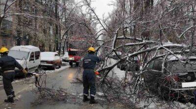 Непогода в Киеве: сломано 120 деревьев, на льду травмировались более 200 человек