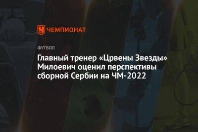 Главный тренер «Црвены Звезды» Милоевич оценил перспективы сборной Сербии на ЧМ-2022