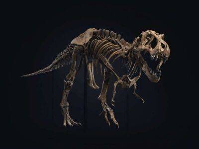 На аукціоні в Гонконгу зняли з торгів скелет тиранозавра, оцінений у 15-25 мільйонів доларів