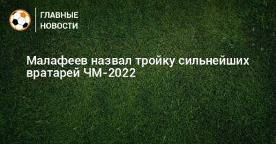 Вячеслав Малафеев - Малафеев назвал тройку сильнейших вратарей ЧМ-2022 - bombardir.ru - Испания - Катар
