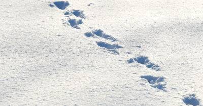 Зима вступила в права. На востоке Латвии снежный покрыв может сохраниться до следующего года