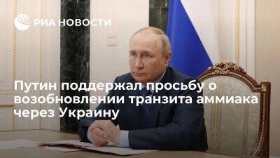 Путин поддержал просьбу главы "Уралхима" о возобновлении транзита аммиака через Украину