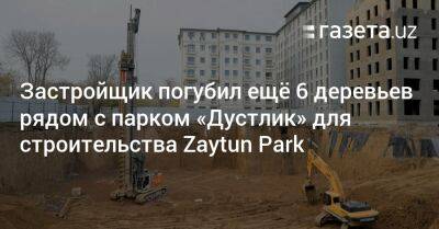 Застройщик погубил ещё 6 деревьев рядом с парком «Дустлик» для строительства Zaytun Park