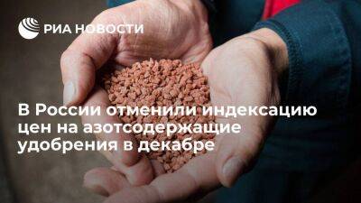 В России отменили индексацию цен на серу и азотсодержащие удобрения в декабре