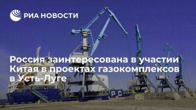 Россия заинтересована в участии Китая в проектах газокомплексов в Усть-Луге