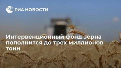Абрамченко: интервенционный фонд зерна пополнят до трех миллионов тонн, объем не изменят