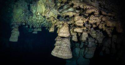 "Адские колокола": исследователи выяснили происхождение таинственных подводных образований в Мексике (фото)