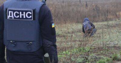 На Николаевщине на мине подорвались спасатели, один погиб