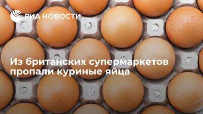 Блумберг: Британия испытывает дефицит яиц, которые пропали с полок некоторых магазинов