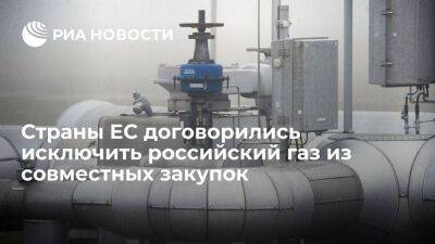 ЕК: страны ЕС договорились исключить российский газ из контрактов на совместные закупки