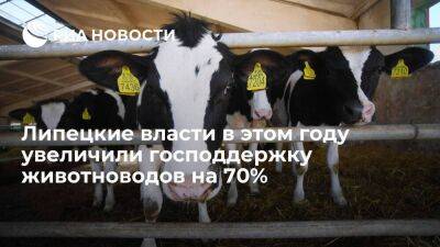 Липецкие власти в этом году увеличили господдержку животноводов на 70%