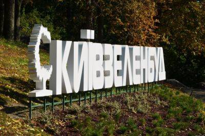 САП в мае направит в суд дело Киевзеленстроя