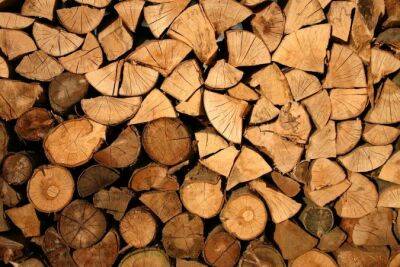 Украина запретила экспорт топливной древесины