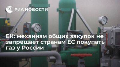 ЕК заявила, что механизм совместных закупок не запрещает странам ЕС покупать газ у России