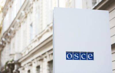 Украинская делегация будет бойкотировать ПА ОБСЕ - Слуга народа