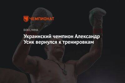 Украинский чемпион Александр Усик вернулся к тренировкам