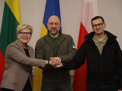 В Украину приехали премьер-министры Польши и Литвы. Они встретились со Шмыгалем и подписали совместное заявление