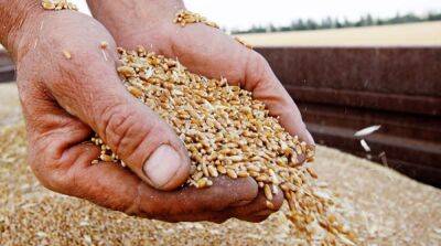 Польша выделит 20 млн евро на инициативу «Зерно из Украины»