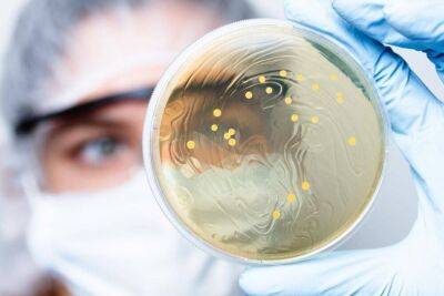 Названы 5 самых смертоносных для человека бактерий