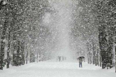 Снігопади та морози обрушаться найближчими днями на столицю - lenta.ua - Украина - місто Київ