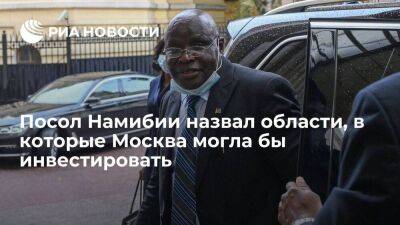 Посол Намибии в Москве: Россия могла бы инвестировать в энергетику и сельское хозяйство